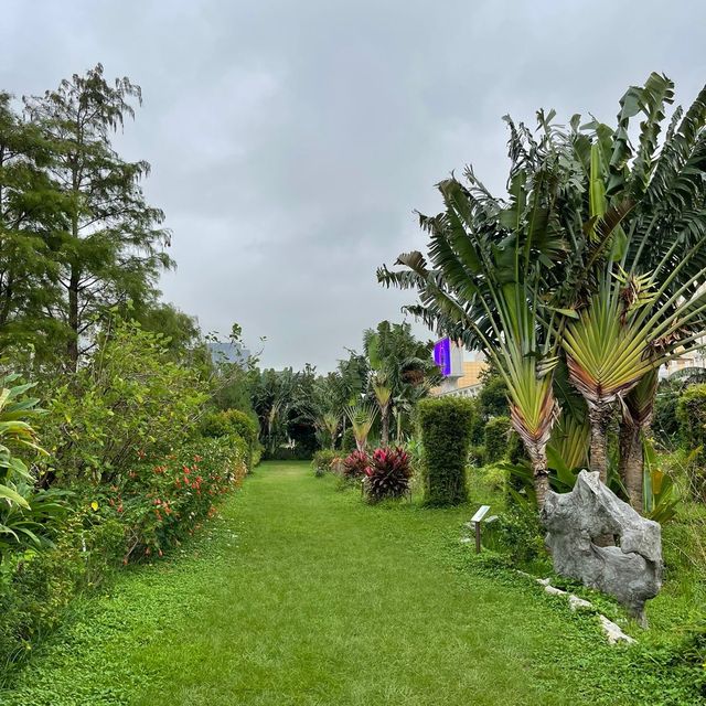 Macau Wetland of Beach Avenue,Taipa
