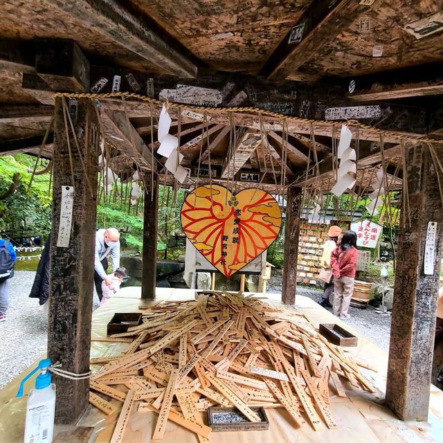 良縁・子宝・学問【野宮神社⛩️】✨