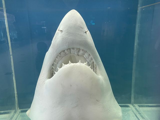 レトロな感じが逆に良い？！須磨水族館🐟