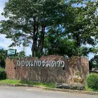 ล่องแก่งชมดาว