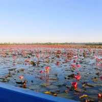 ทะเลบัวแดง จังหวัดกาฬสินธุ์