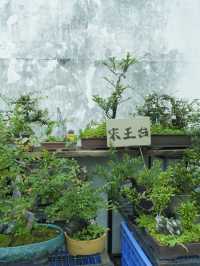 浪費了一個有價值的牛棚藝術村 