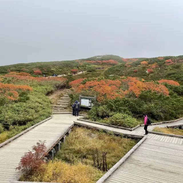 北海道　旭岳ロープウェイ　姿見駅