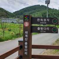 순창 여행 필수 코스 - 채계산 출렁다리