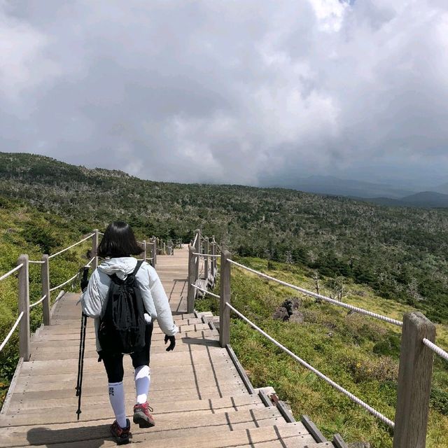 제주도 버킷리스트! 한라산 등반 완료