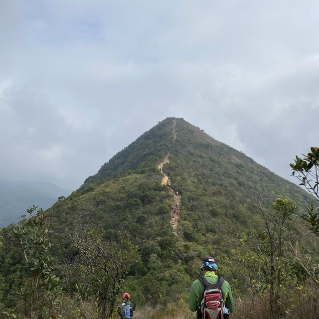 針草帽挑戰成功