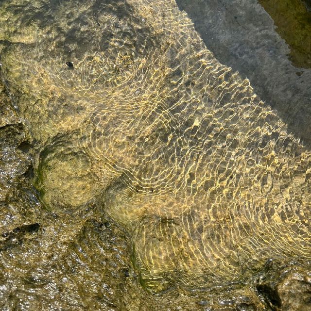 台灣小流球嶼