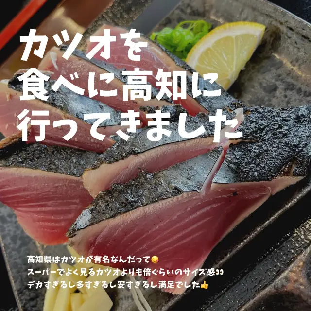 カツオを食べに高知へ👍