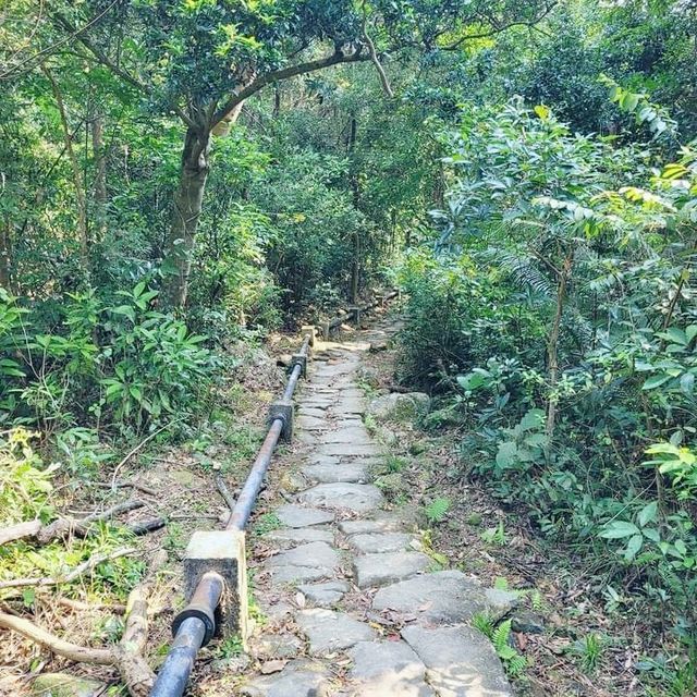 衛奕信徑第四段