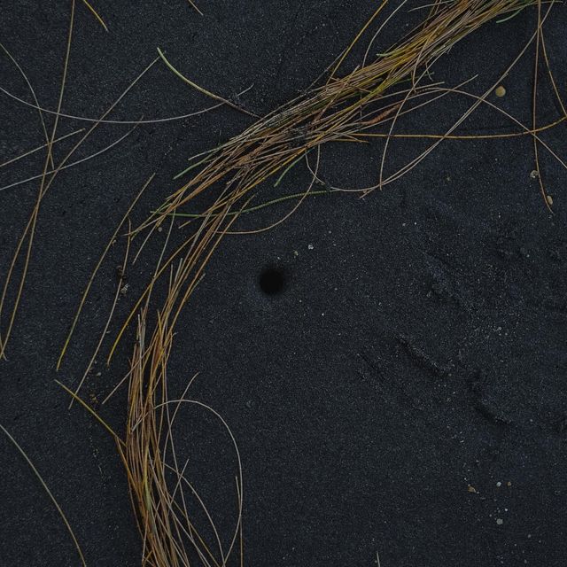 หาดนางทอง