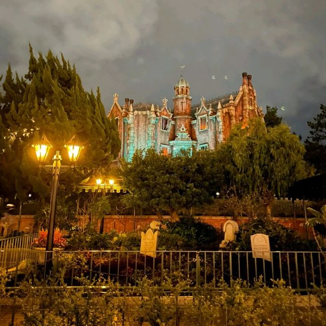 夢の国といわれる理由が少しわかる気がする【東京ディズニーランド】✨