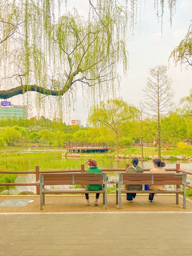 [서울] 이런날씨에 딱❗️ 보라매공원🌳