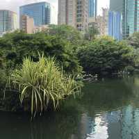 難得九龍市區有個鳥湖