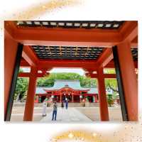 【兵庫県 神戸市】生田の森、生田神社✨✨