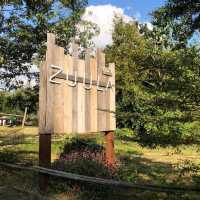 ร้านอาหาร&คาเฟ่ ต้องที่ZUULA