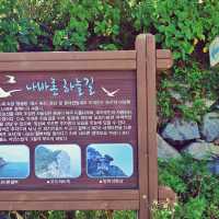 ☁ 추자도에서 꼭 걸어봐야 할, 나바론 하늘길