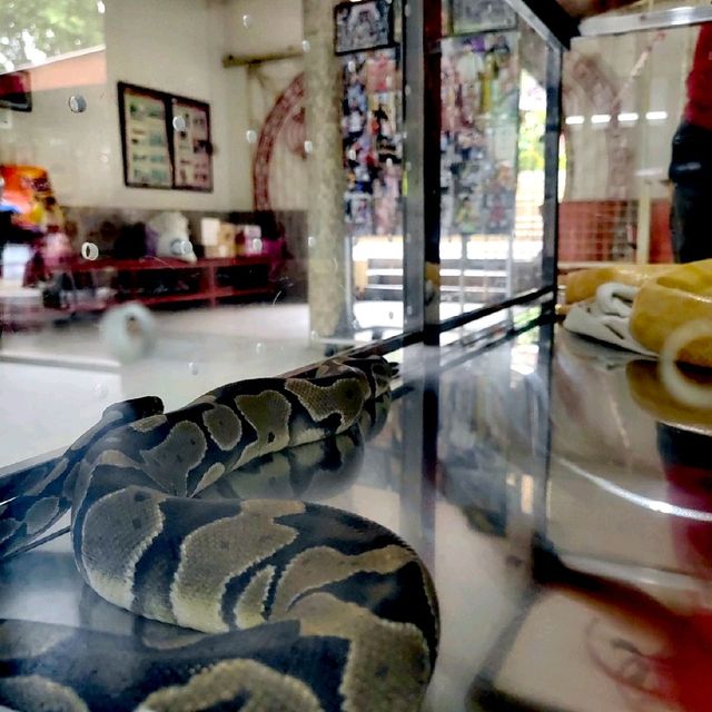 Snake Temple @Penang Island