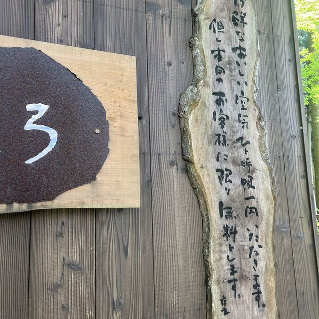 【まるでジブリの世界！こけむしろ】