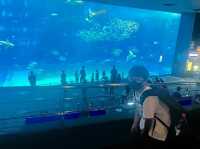 美ら海水族館