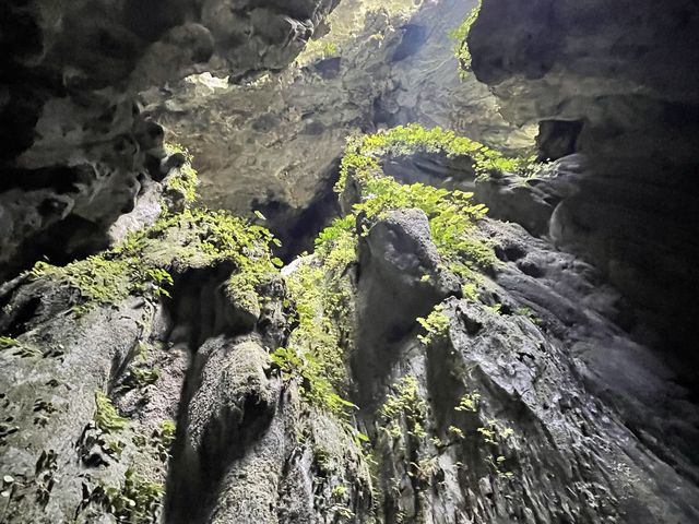 Fairy 🧚‍♀️ Cave 
