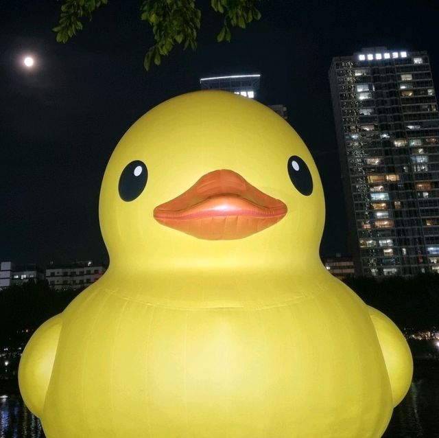 8년만에 돌아온 잠실 석촌호수 러버덕 💛