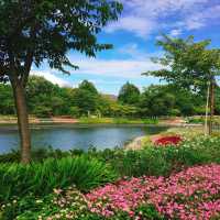【日本 三重】日本最大規模花海 🌹🌷🌺🌸🌼