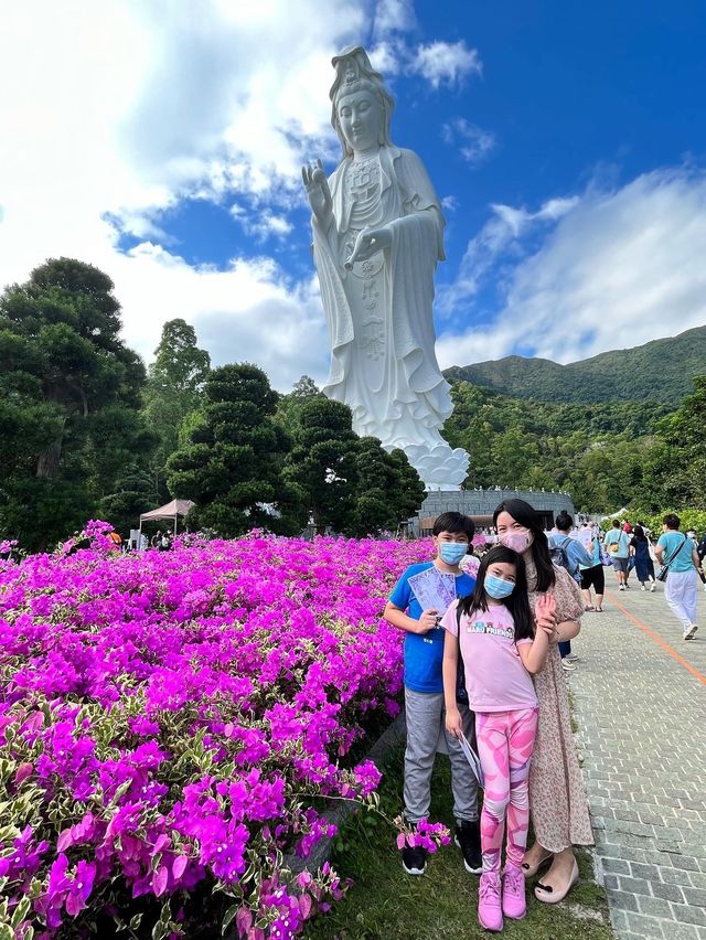 遠離塵囂的好地方