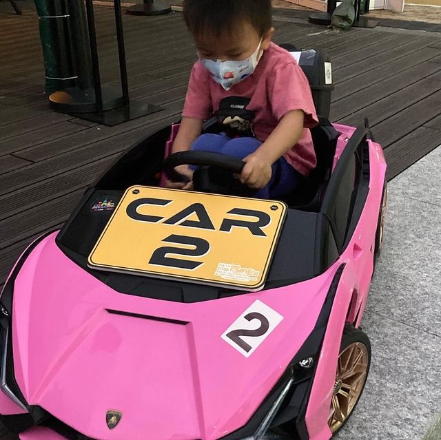 《全港首個電動車展「零碳天地戶外電動車展」》