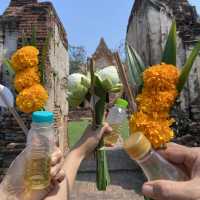 ทำบุญไหว้พระเมืองเก่าพิจิตร 🪷