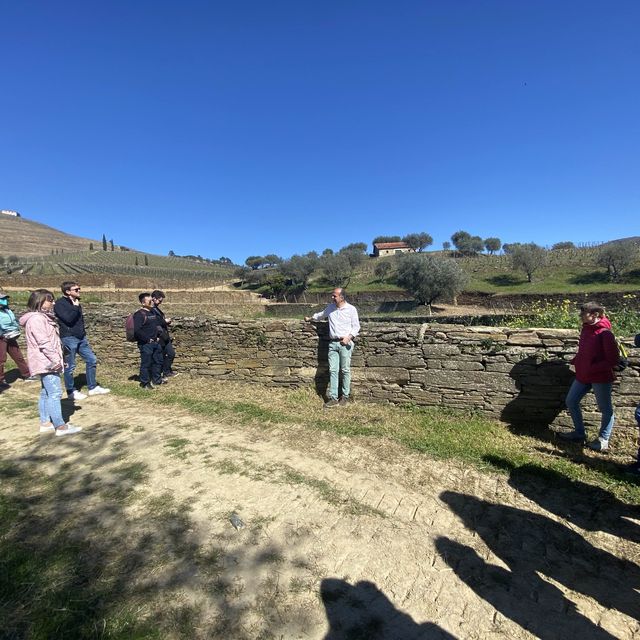 포르투 근교 도우로밸리에서 즐기는 포트와인🍷🇵🇹