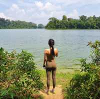 Hike at Lower Peirce Reservoir