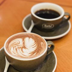 Plato Cafe & Bistro（佐敦店） User Photo