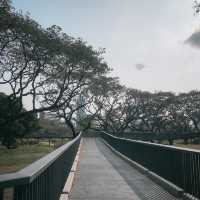สวนเบญจกิติ สวนป่ากลางกรุง!!!