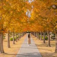 🍂주황빛아래에서 의미를 되새기며 산책하기 좋은곳 [부산, UN기념공원]