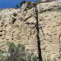 20,000 year old drawings from our Ancestors 
