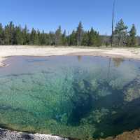 Yellowstone speaks for itself…just listen 💥