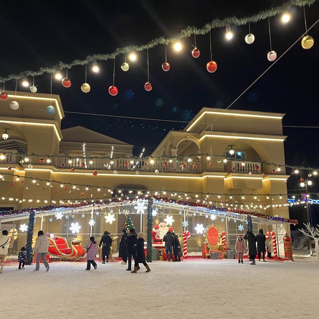 크리스마스엔 별빛정원-파주 퍼스트가든🎄✨