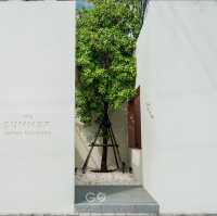 The Summer CAFFEE Company - Old Town อยุธยา