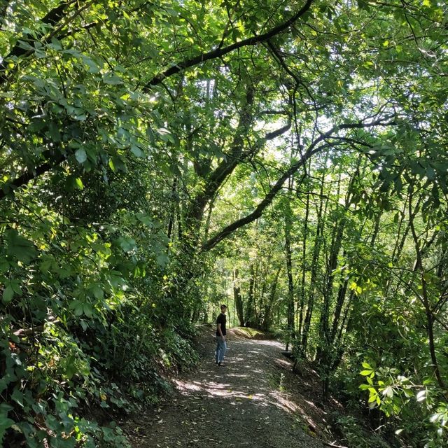 Relaxing walk at Lake Te Koo Utu