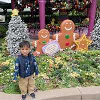 充滿聖誕氣氛的迪士尼樂園