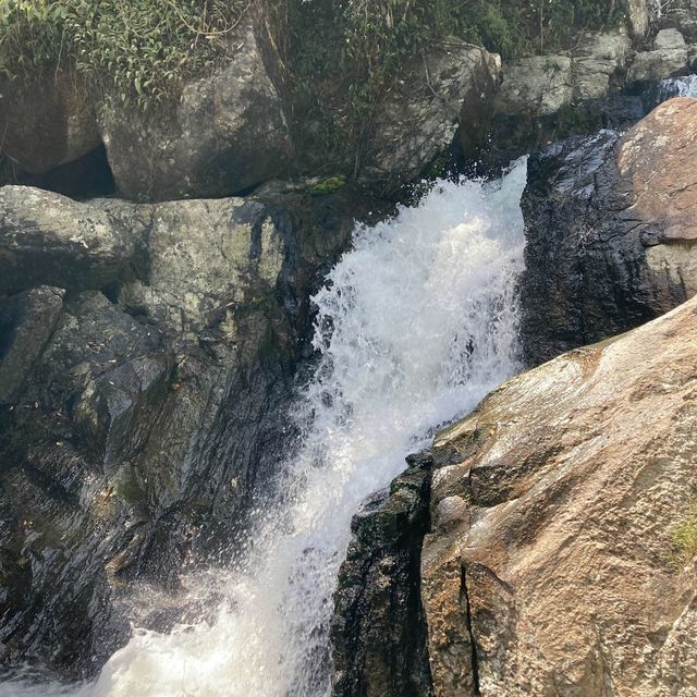 Koh Phangan, yogis dream, foodies paradise