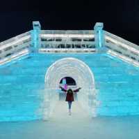 Harbin Ice and Snow World❄️