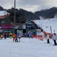 강원도 홍천 스키장🏂비발디파크 스키장