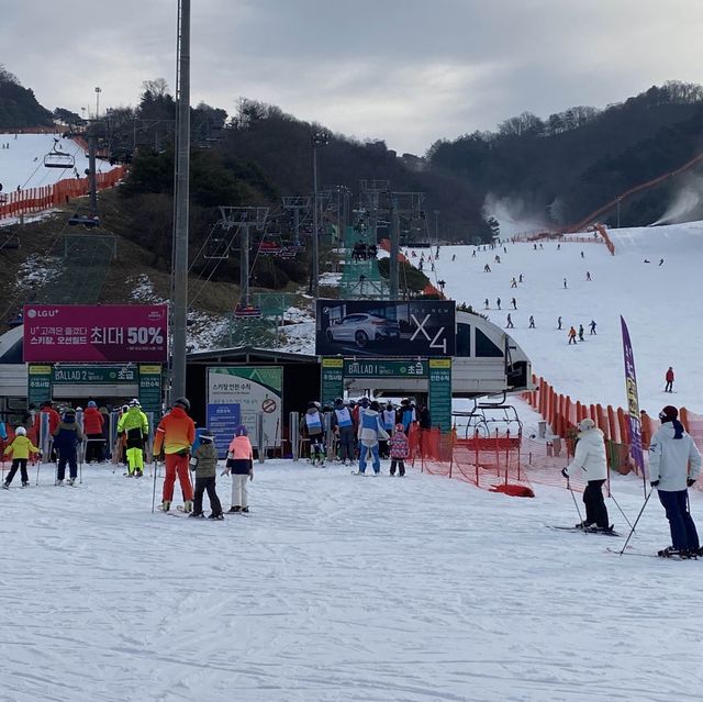 강원도 홍천 스키장🏂비발디파크 스키장