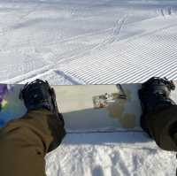 강원도 홍천 스키장🏂비발디파크 스키장