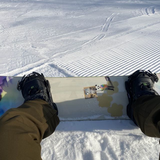 강원도 홍천 스키장🏂비발디파크 스키장