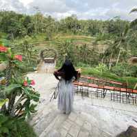 Bali Wonderland