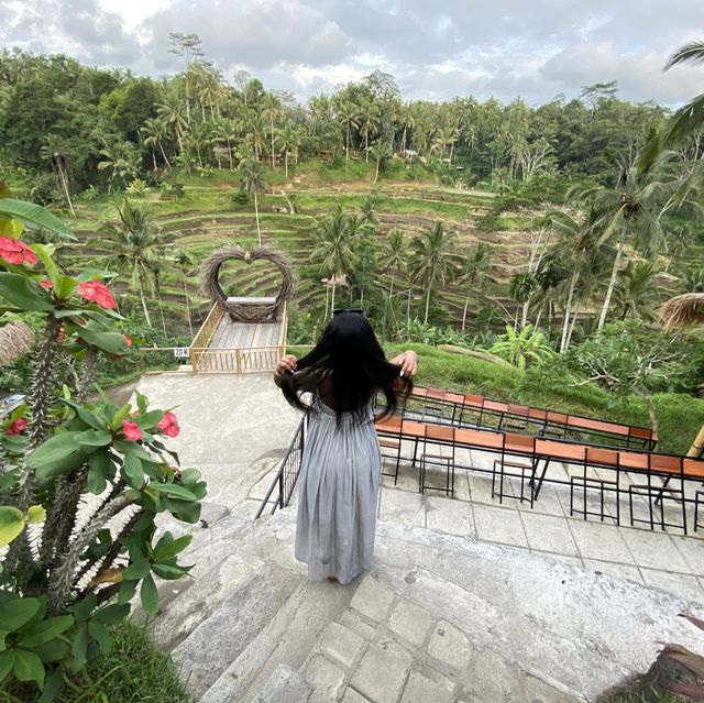 Bali Wonderland