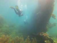 Philippines / Scuba diving 