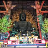 Todai Ji Temple - Nara 